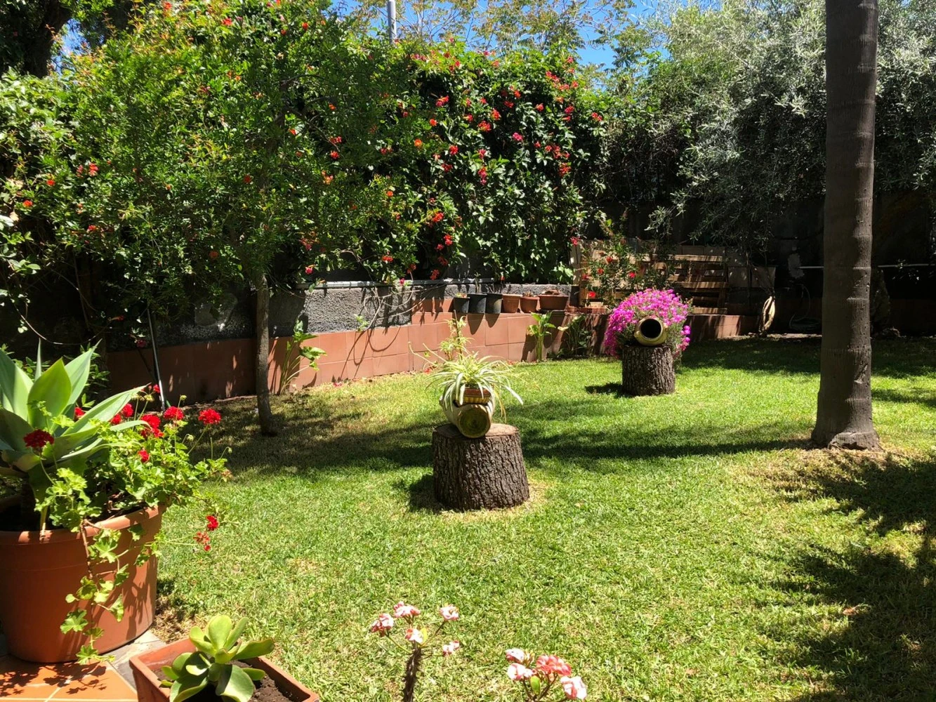 Le Quattro Rose-1