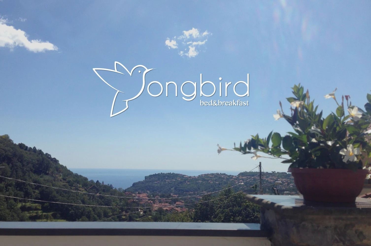 Songbird B&b-1