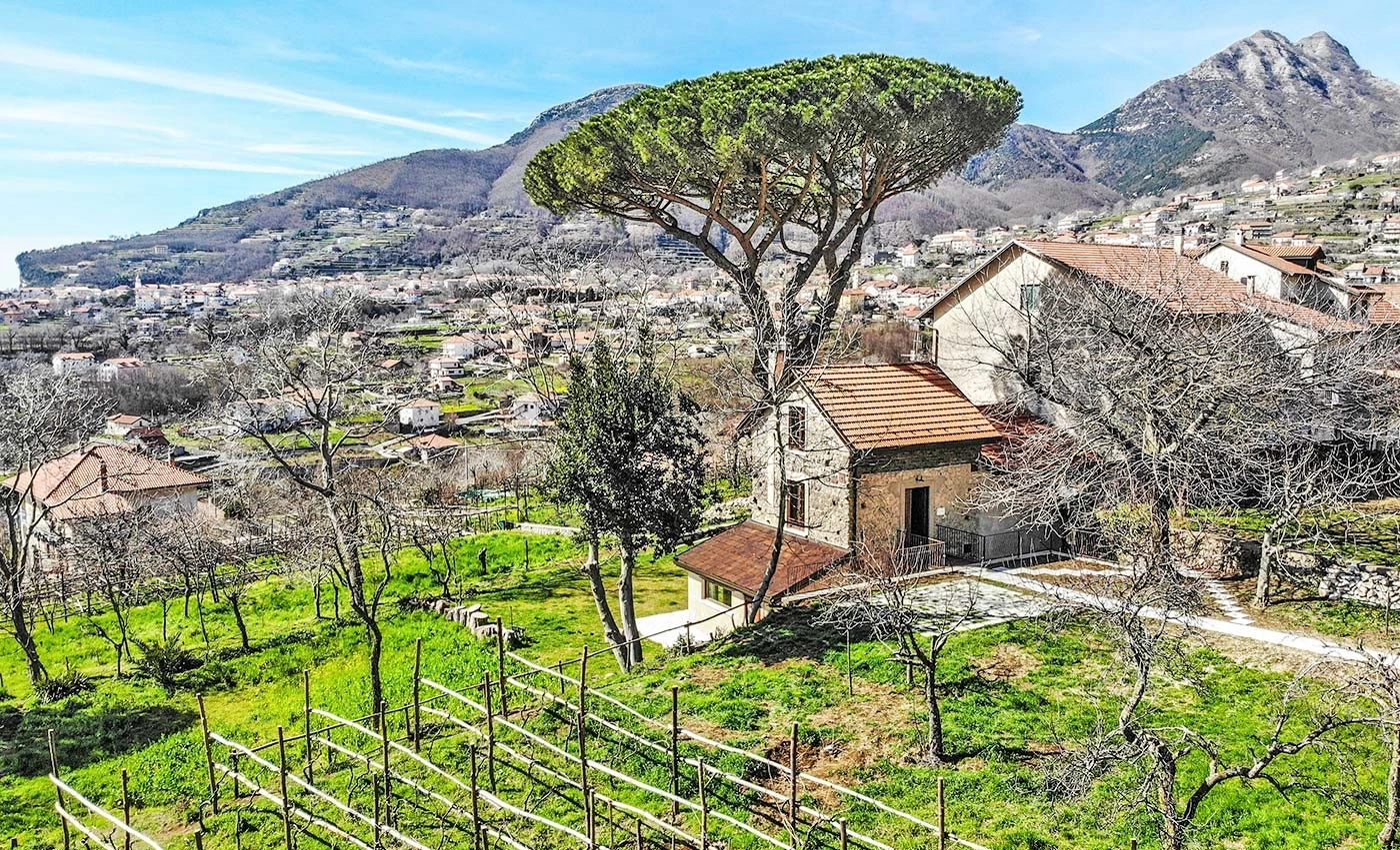 Tenuta Novecento Bio Agriturismo-1