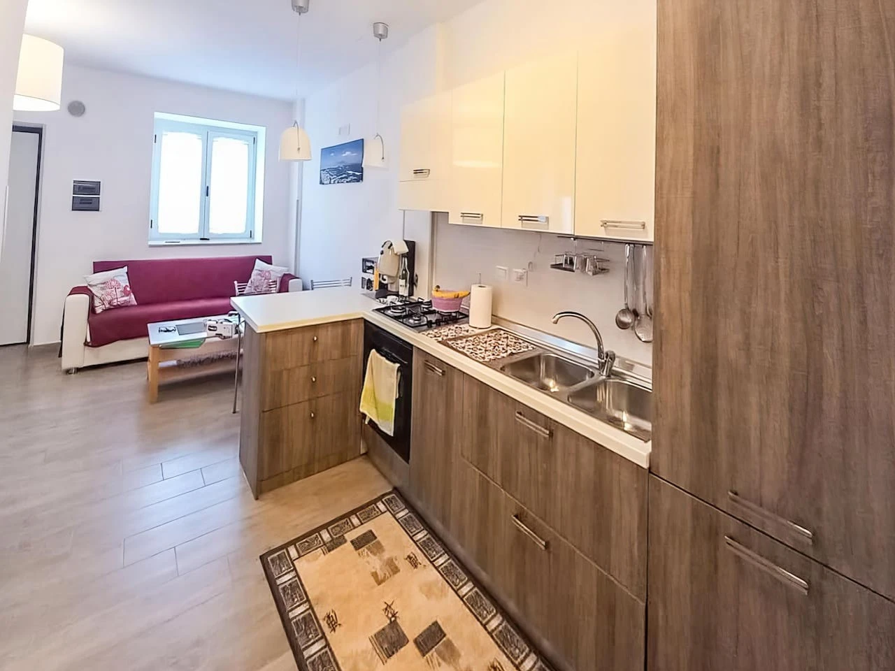 Living Apartment Raiamar-1