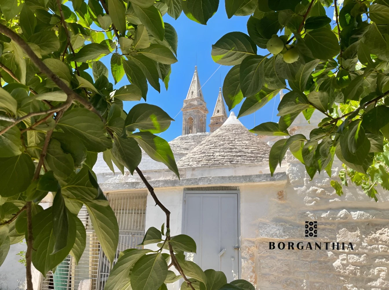 Borganthia - Il Chiostro Dei Medici-1