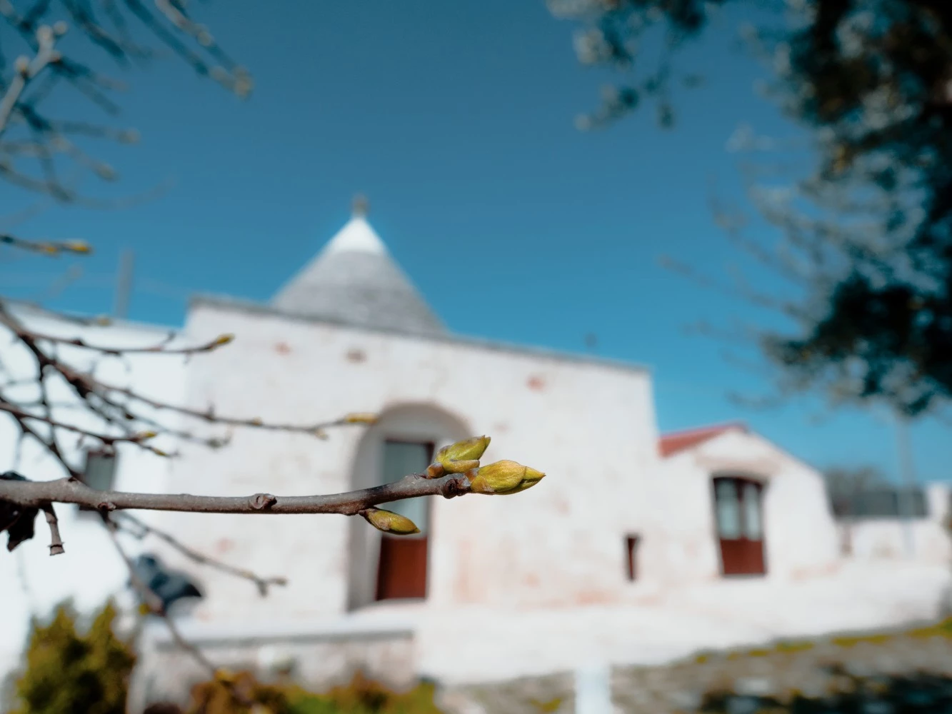 Rifugio Di Puglia - Trulli & Dimore-5