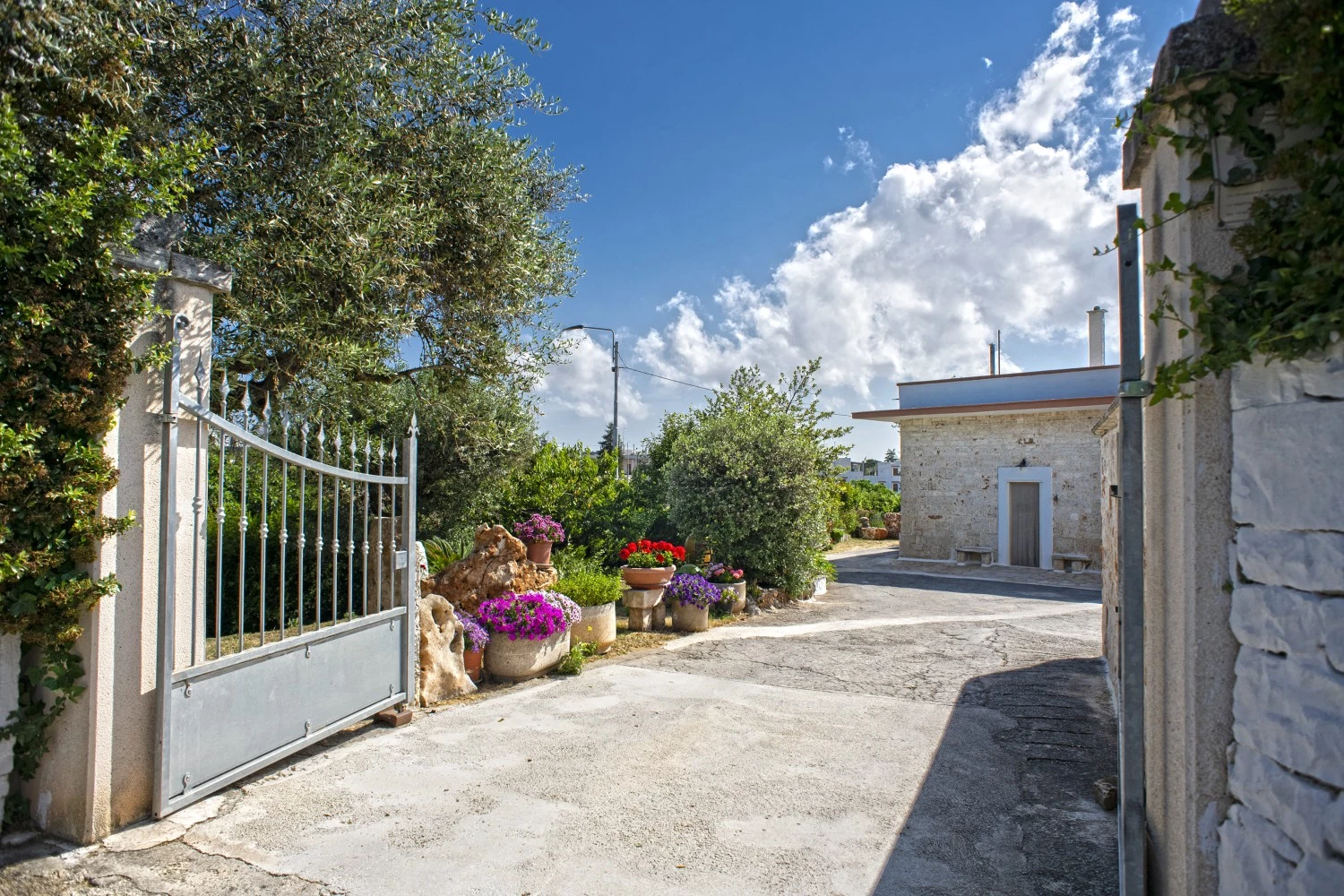 Il Brigante-1