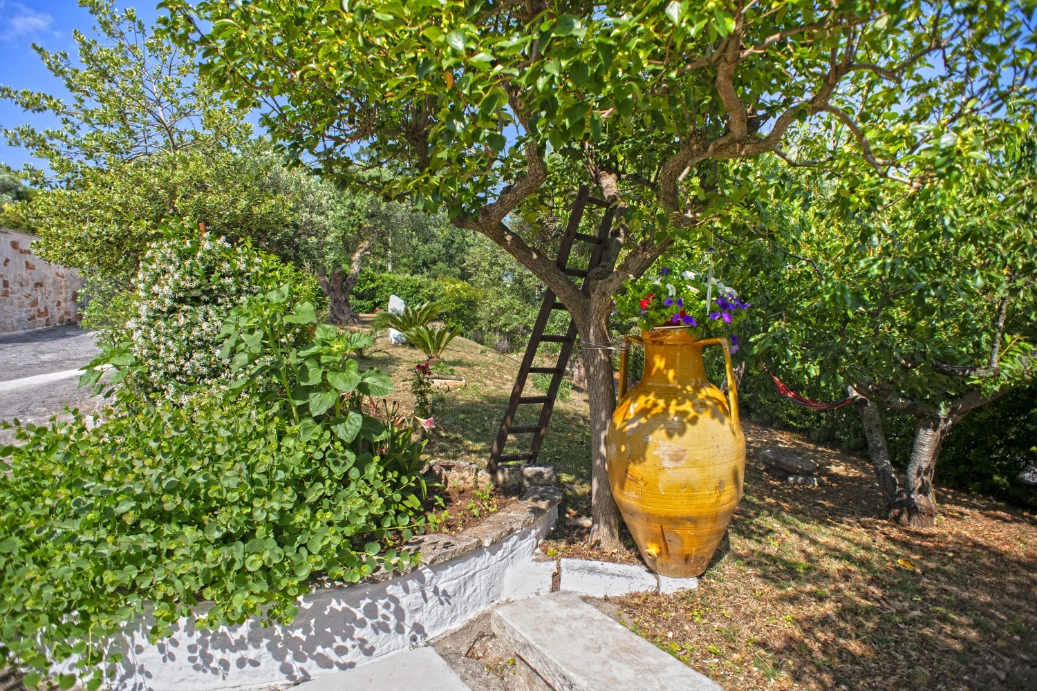 Il Brigante-2