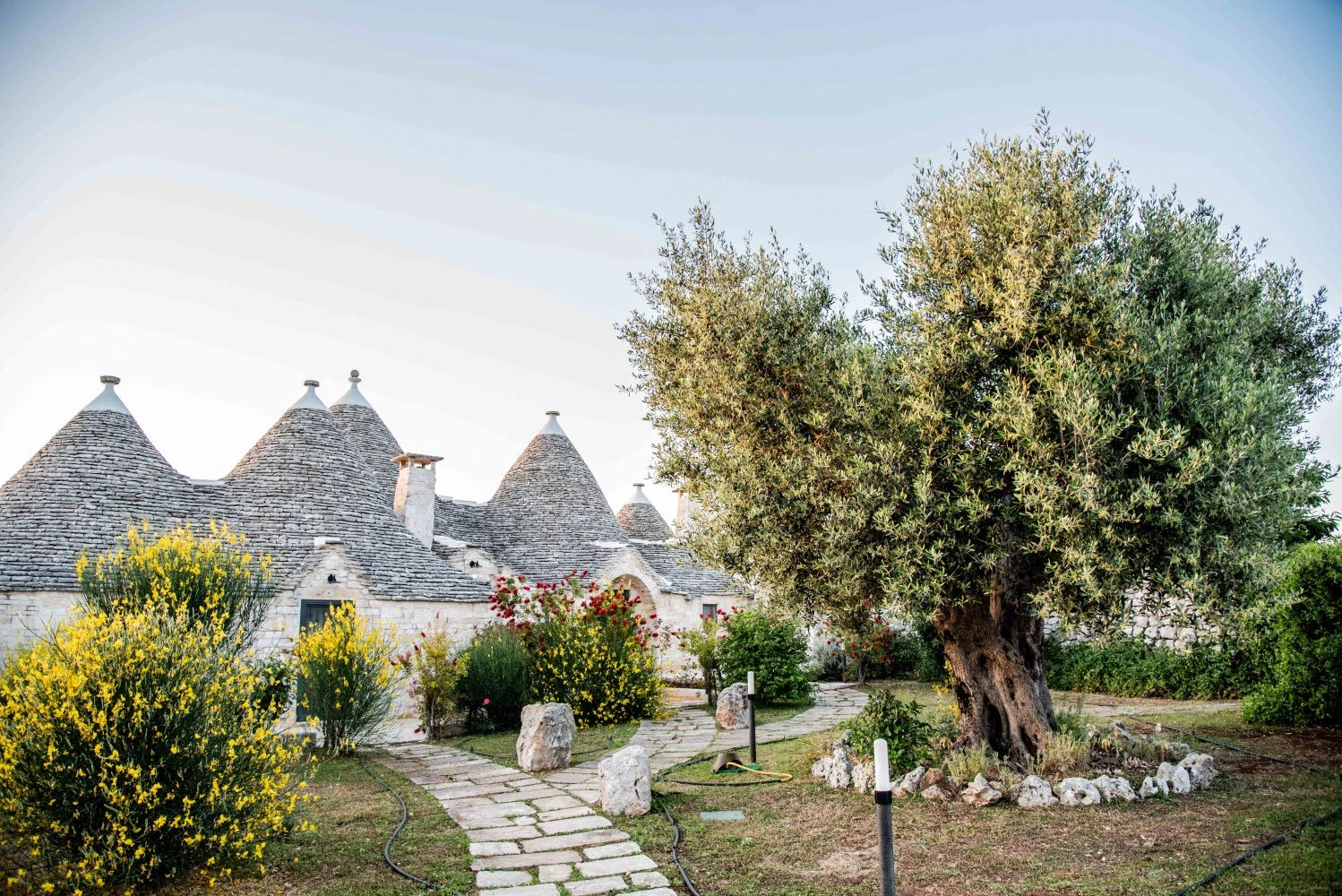 Trulli Paparale-1