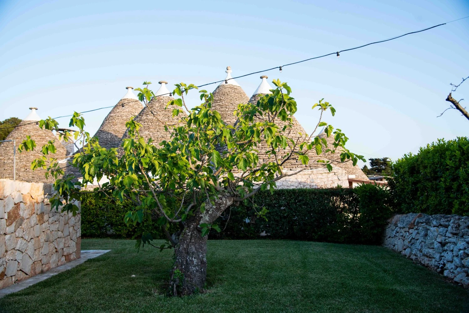 Trulli Paparale-4