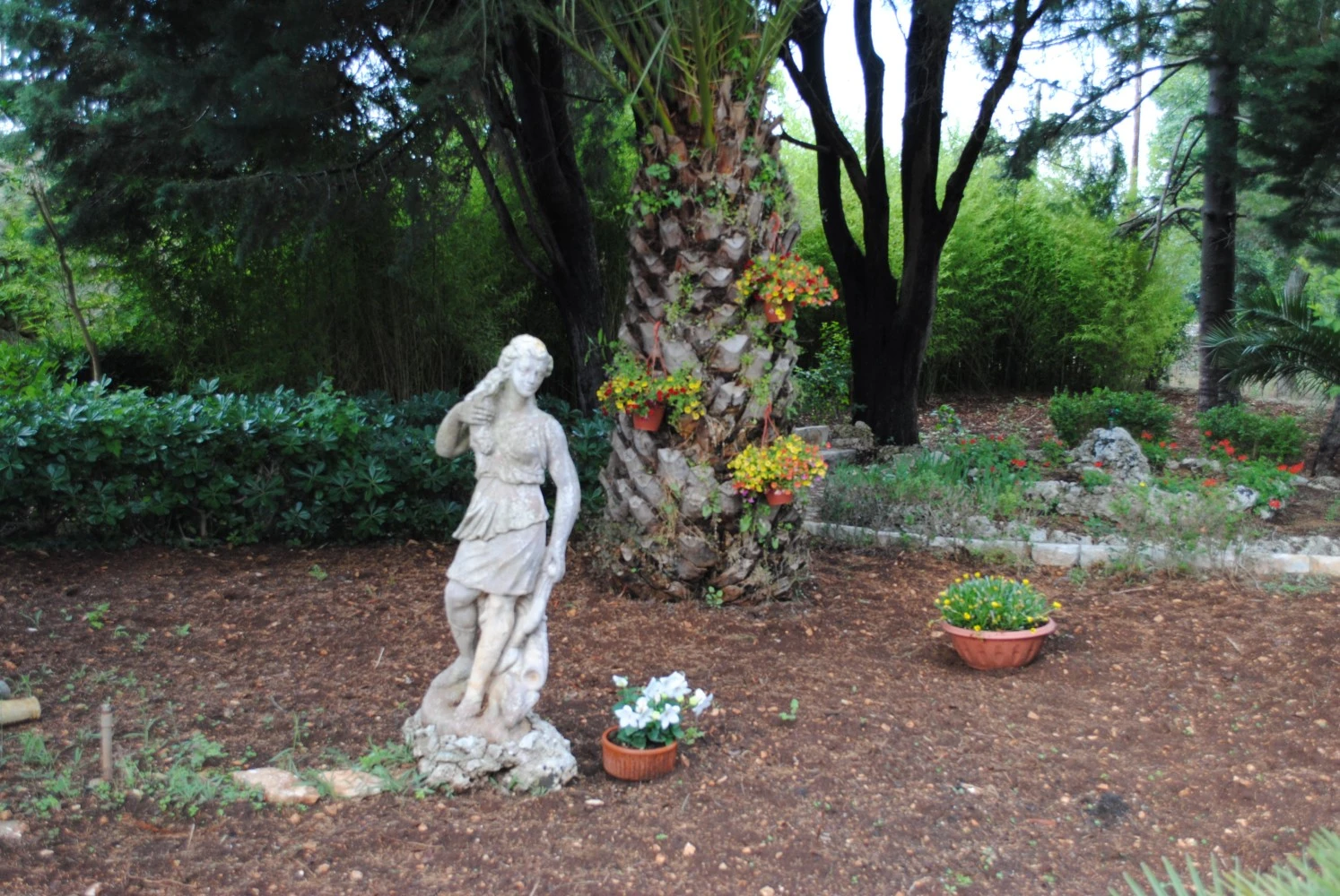 B&b Dimora Romano-4