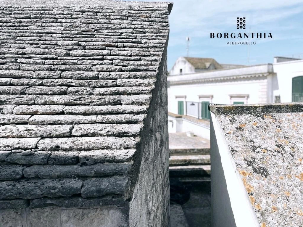 Borganthia-1