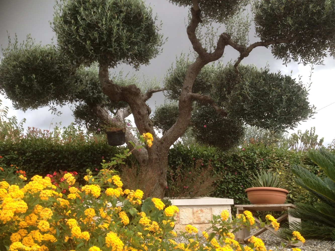 Casa Delle Rondini-3