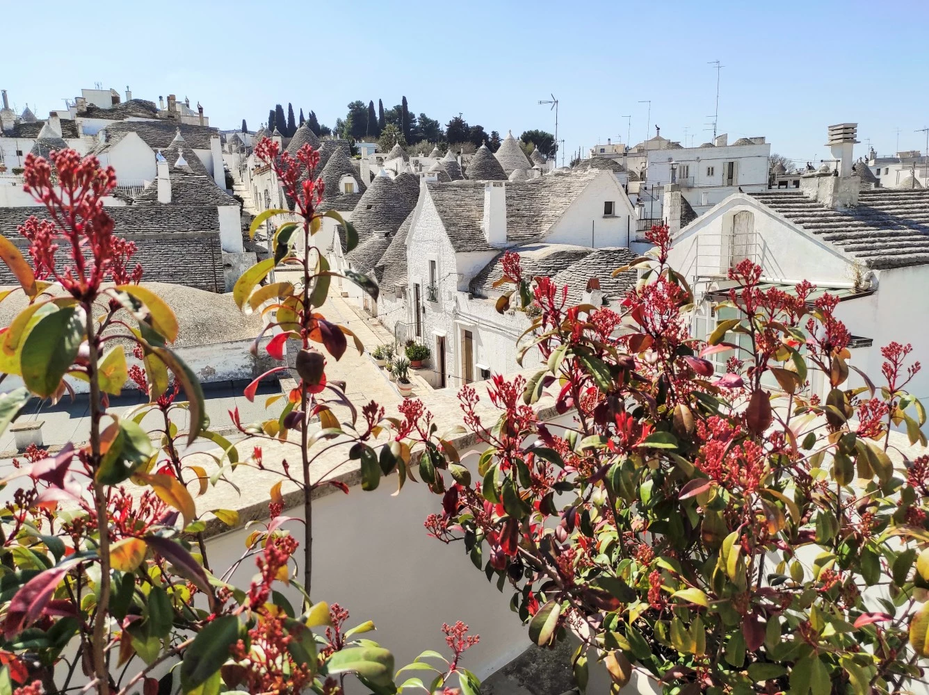 Noù La Tua Casa In Puglia-1