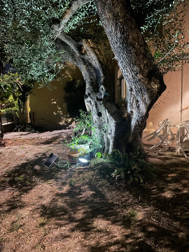 Casa Vacanze Villa Degli Ulivi-3