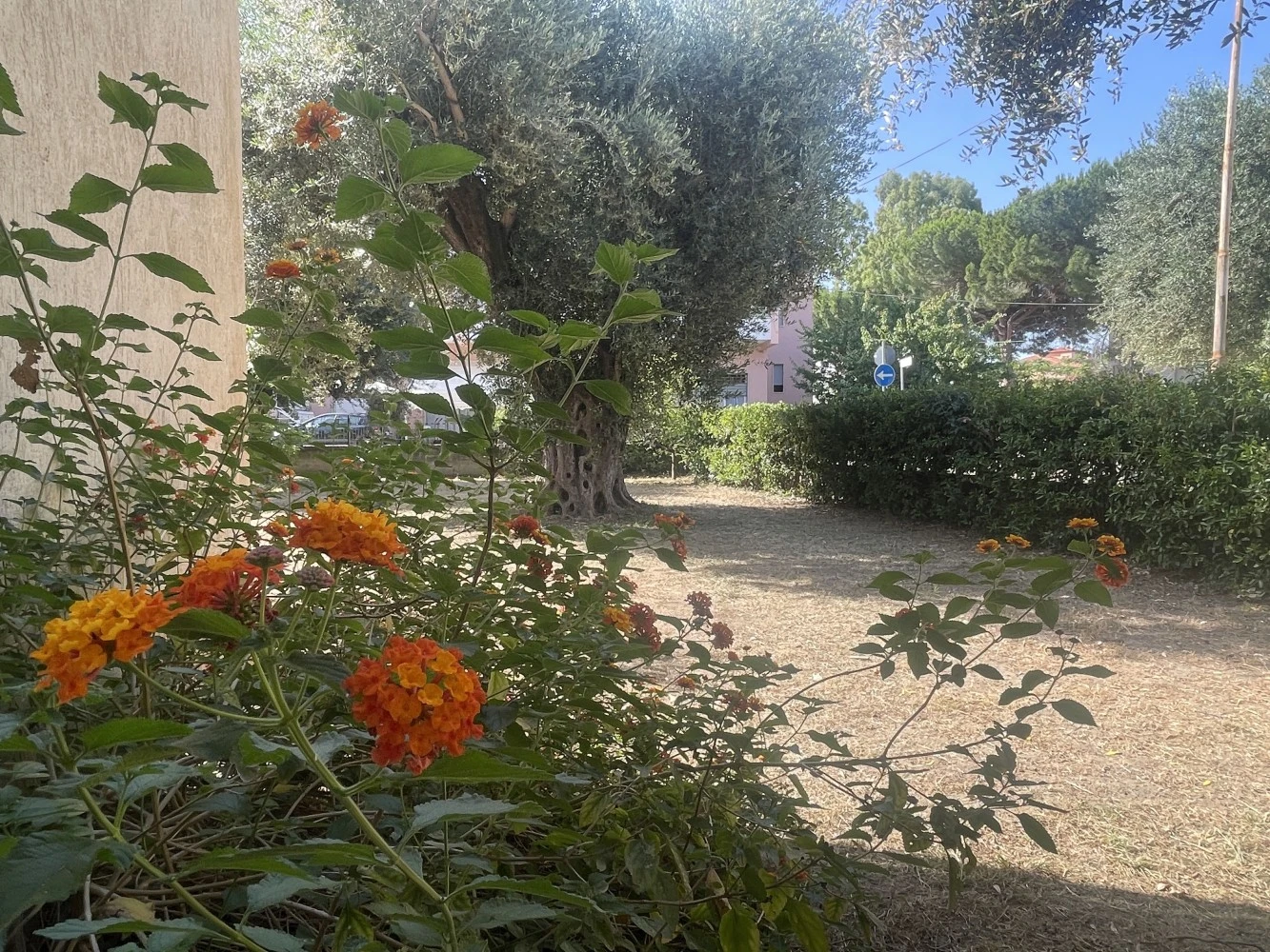 Casa Vacanze Villa Degli Ulivi-2