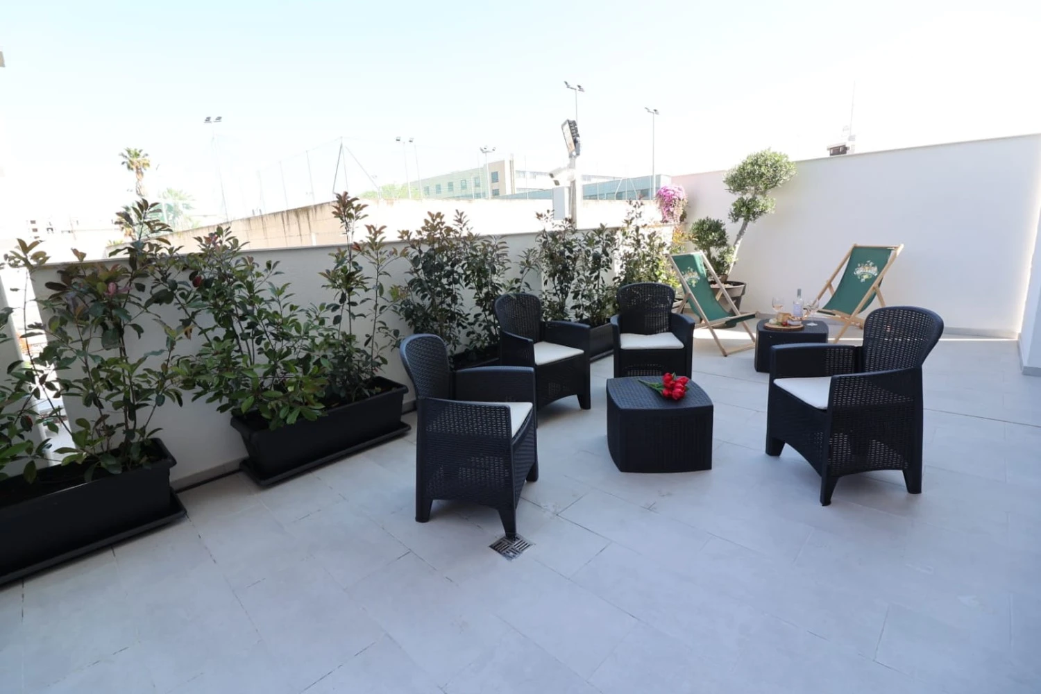 Vincotto's Home Garden-3
