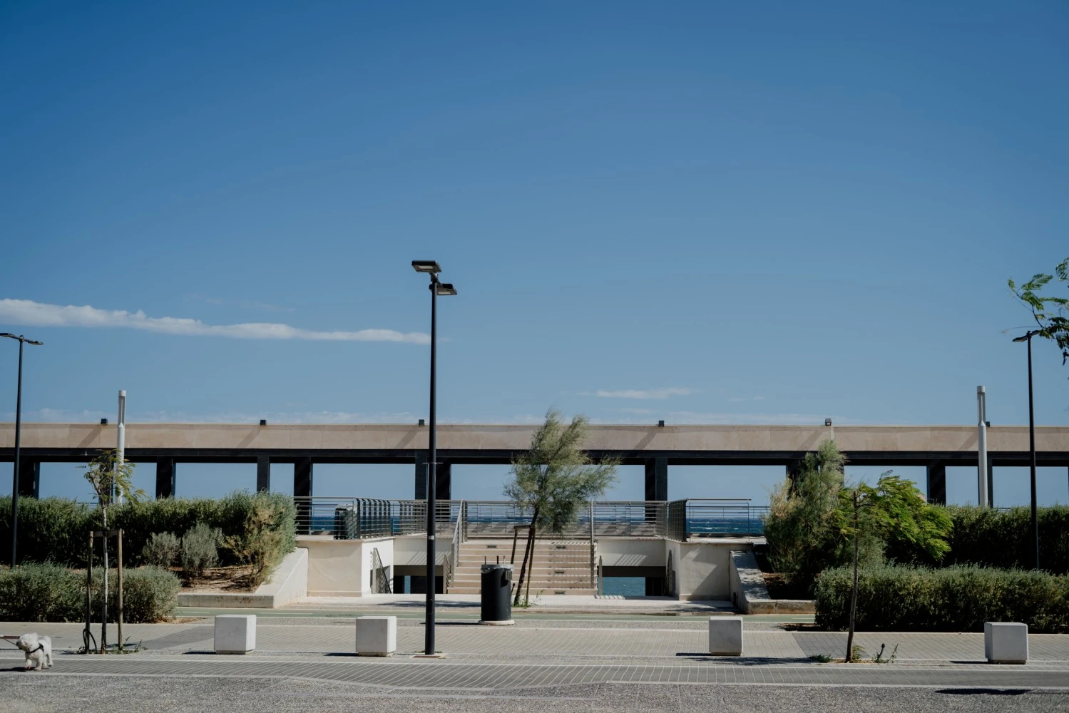 Domus Residence Di Damiani Angela - Domus Cicerone-2