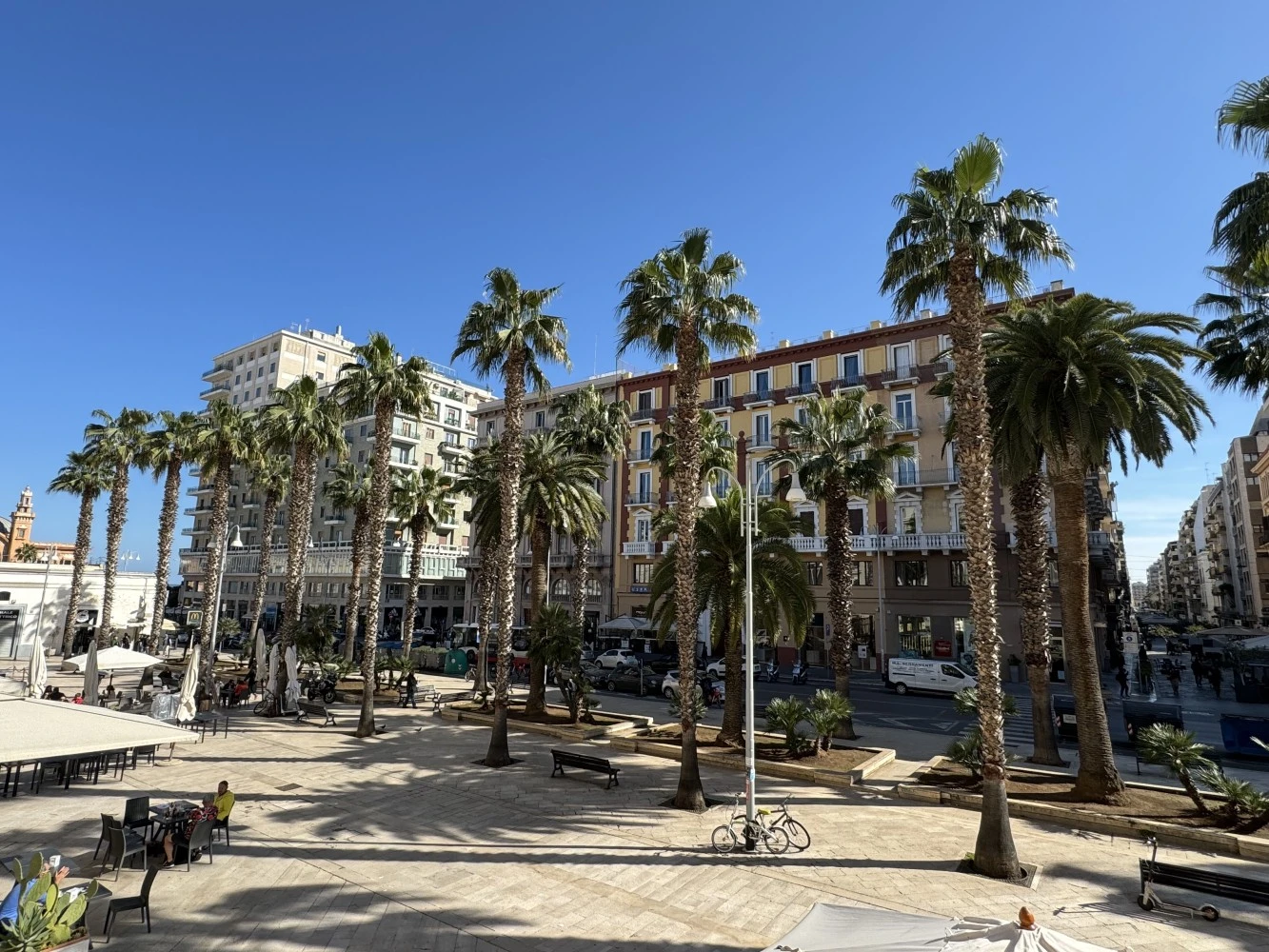 Palm Central House-1