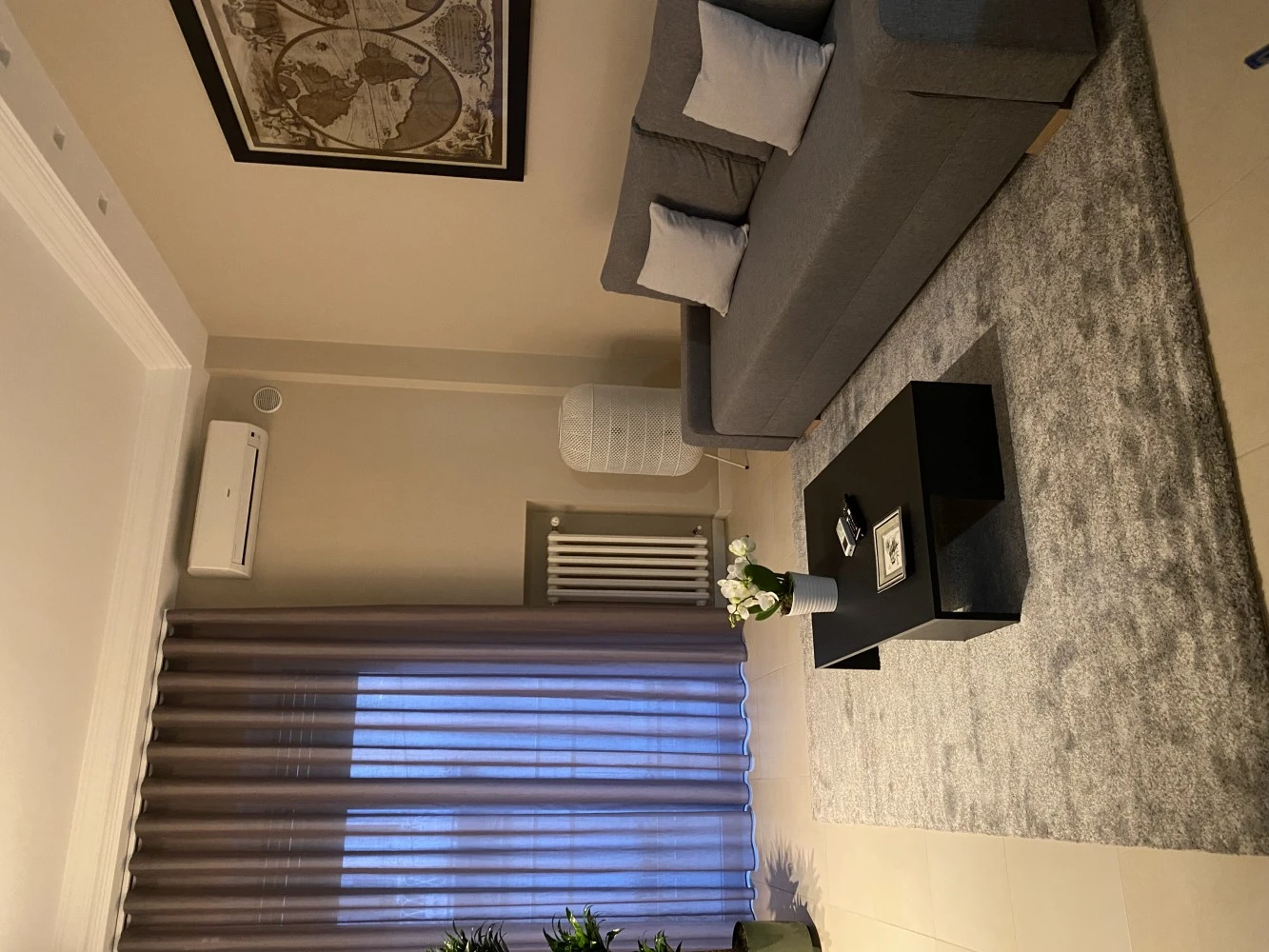 Orchids Suite-1