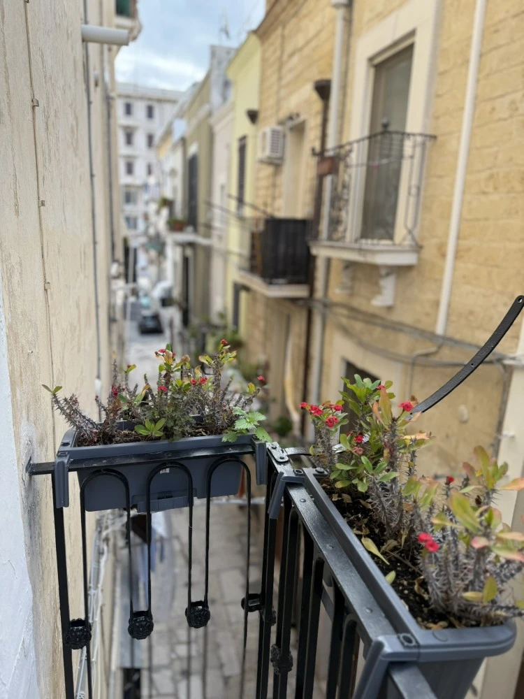 Carlo's Guest House-3
