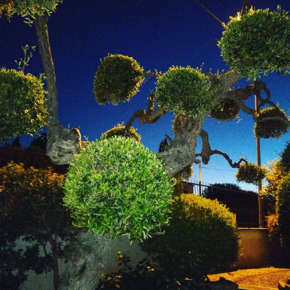B&b Villa Lucia-2