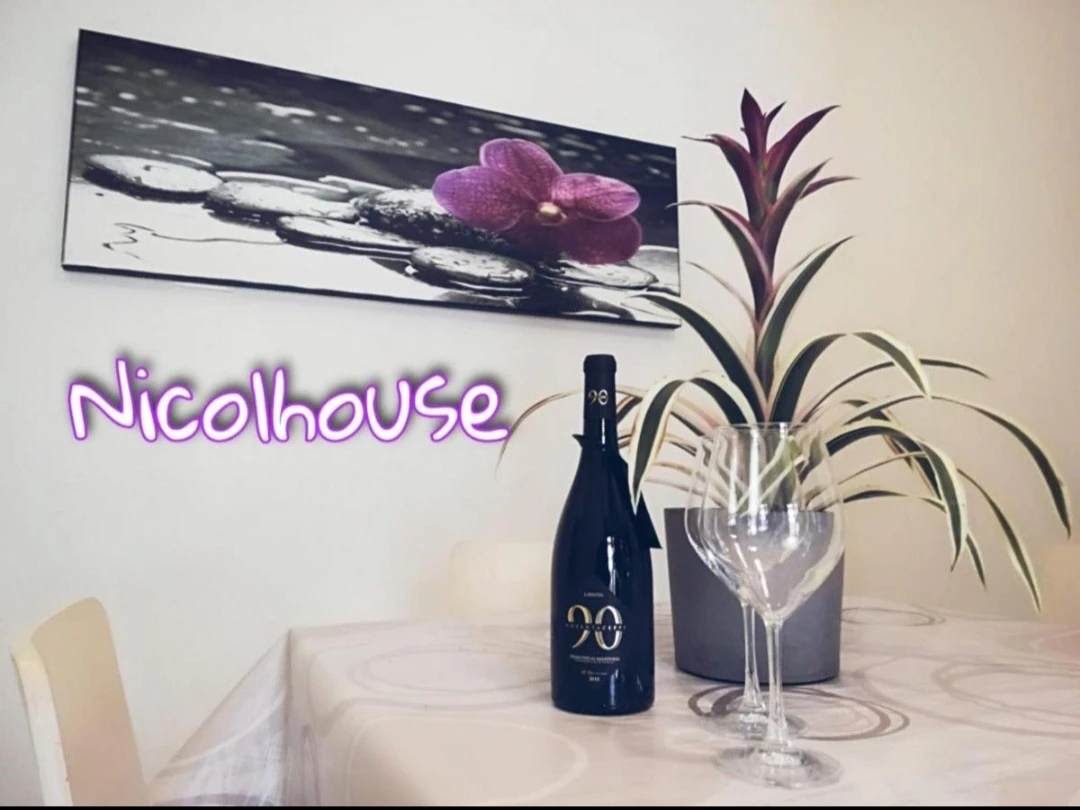 Nicolhouse-1