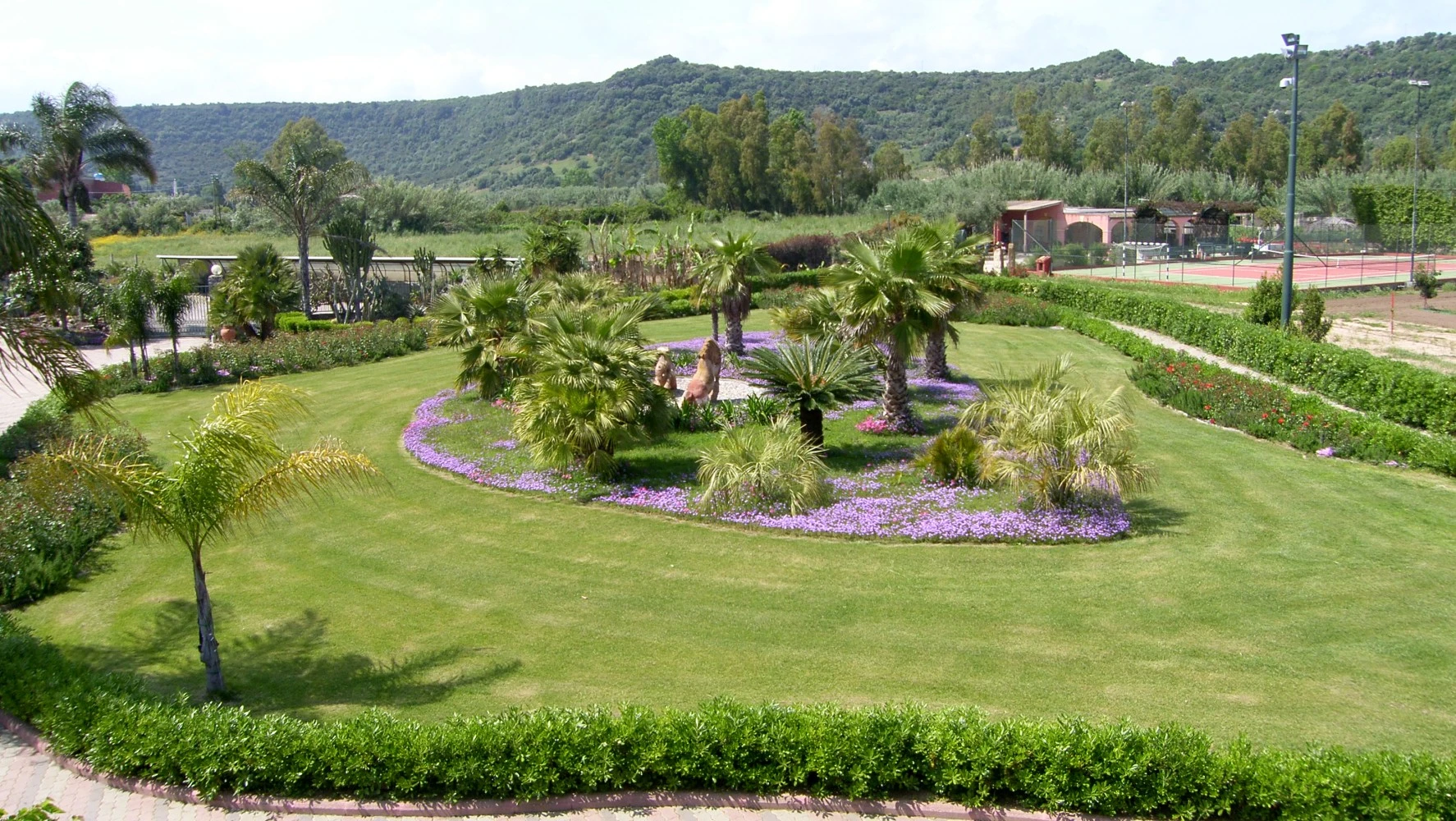 Le More E Le Mimose-3