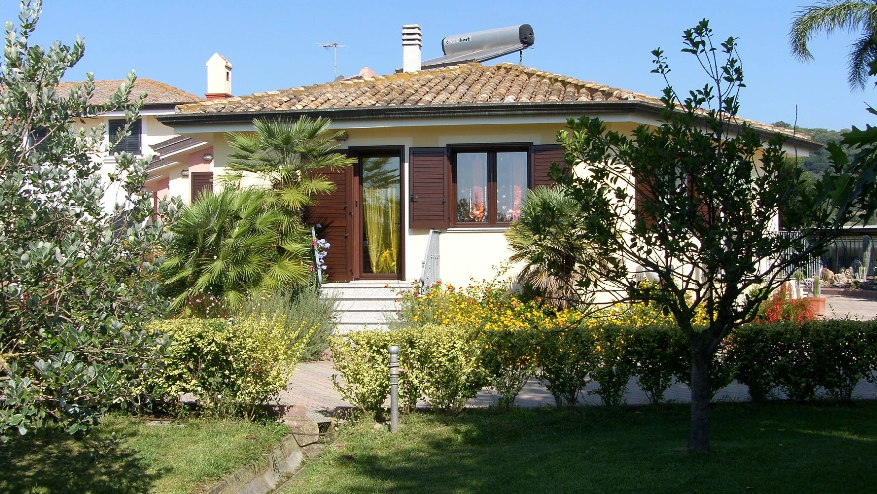Le More E Le Mimose-4