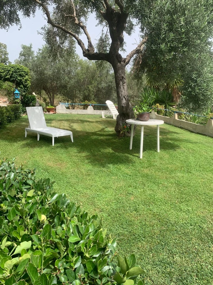 Domus Boschinu 3 - Relax & Garden-1