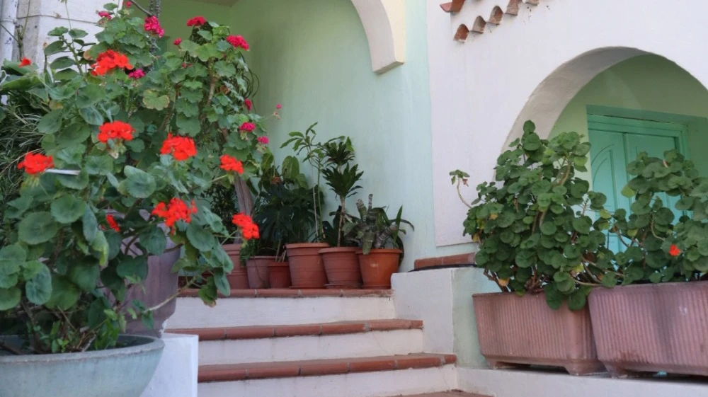 Castelletto Verde Apartments-4