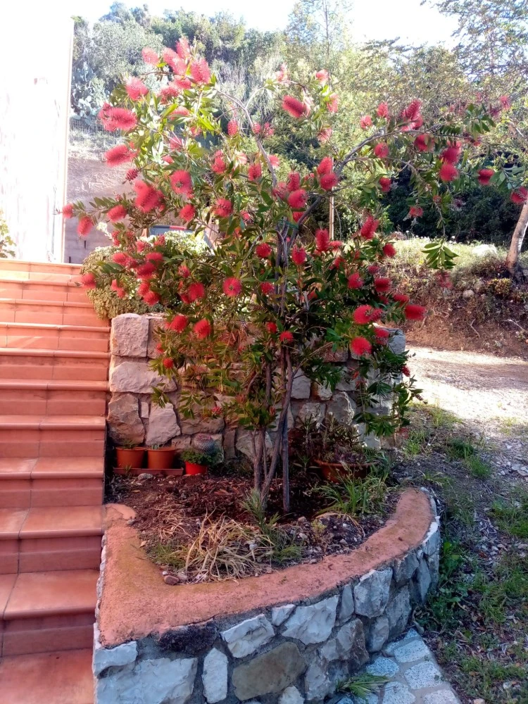 Appartamento Da Vincenza-5