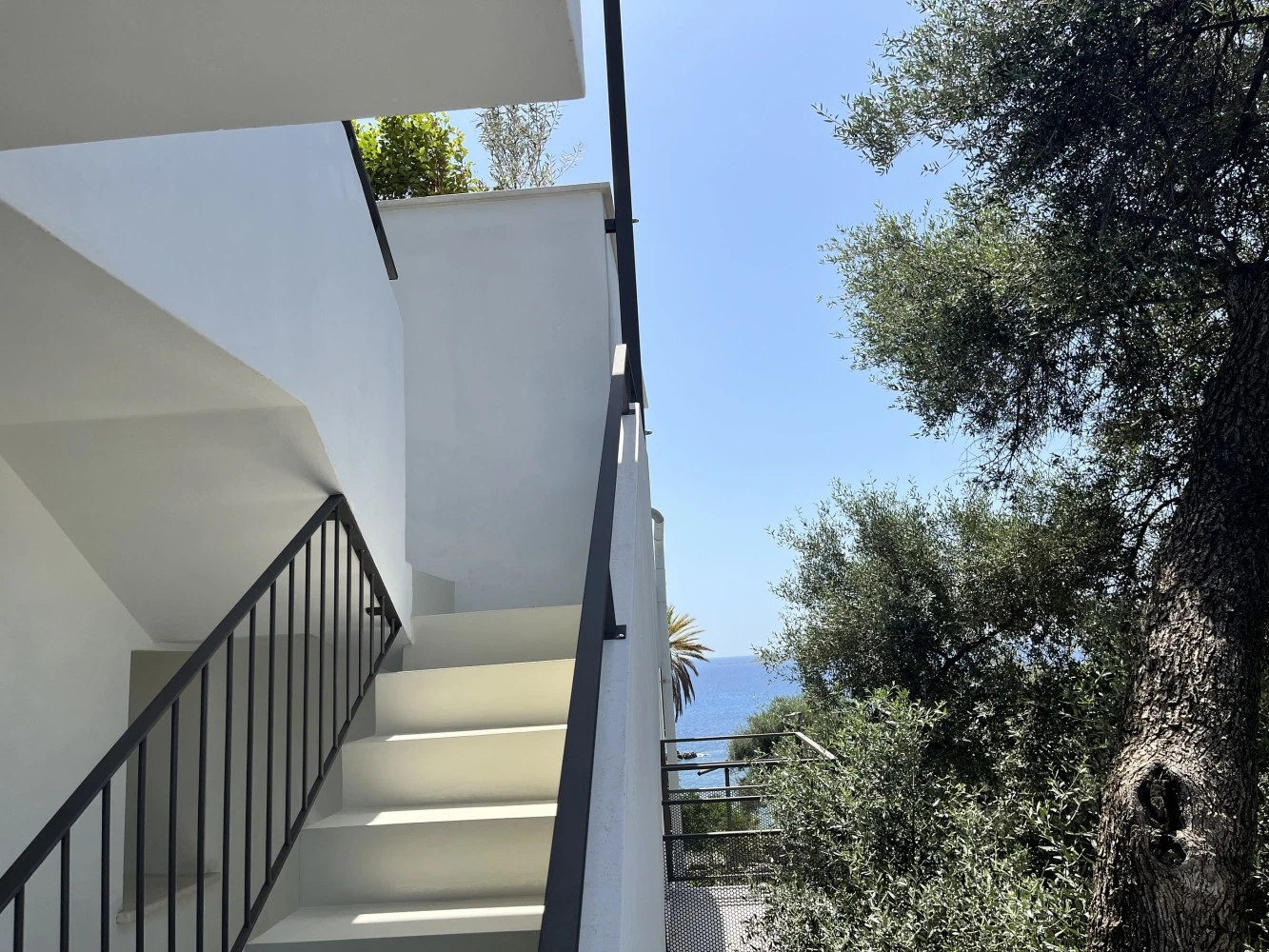 Vireo Rooms-5