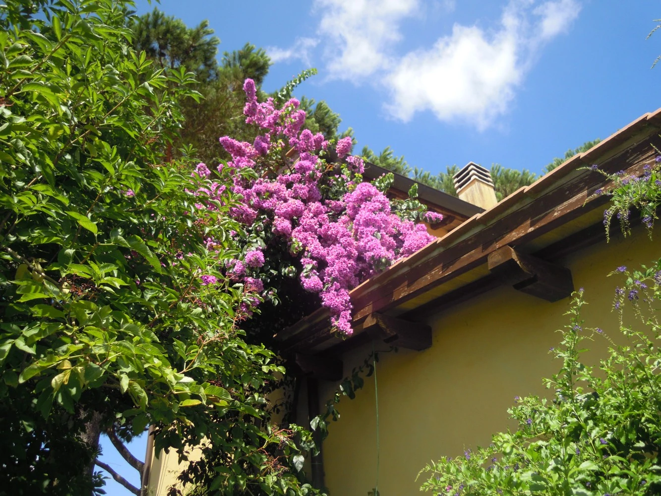Fienile Vigna Di Valle
