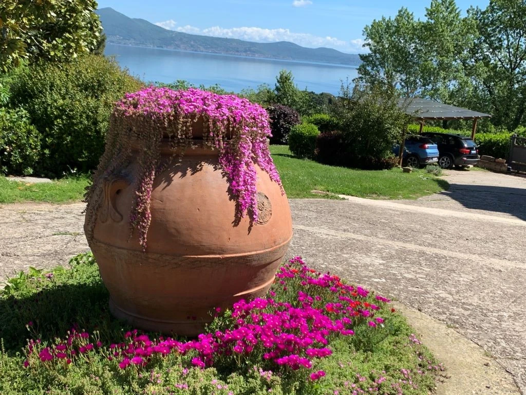 Villa Giardino Sul Lago-3