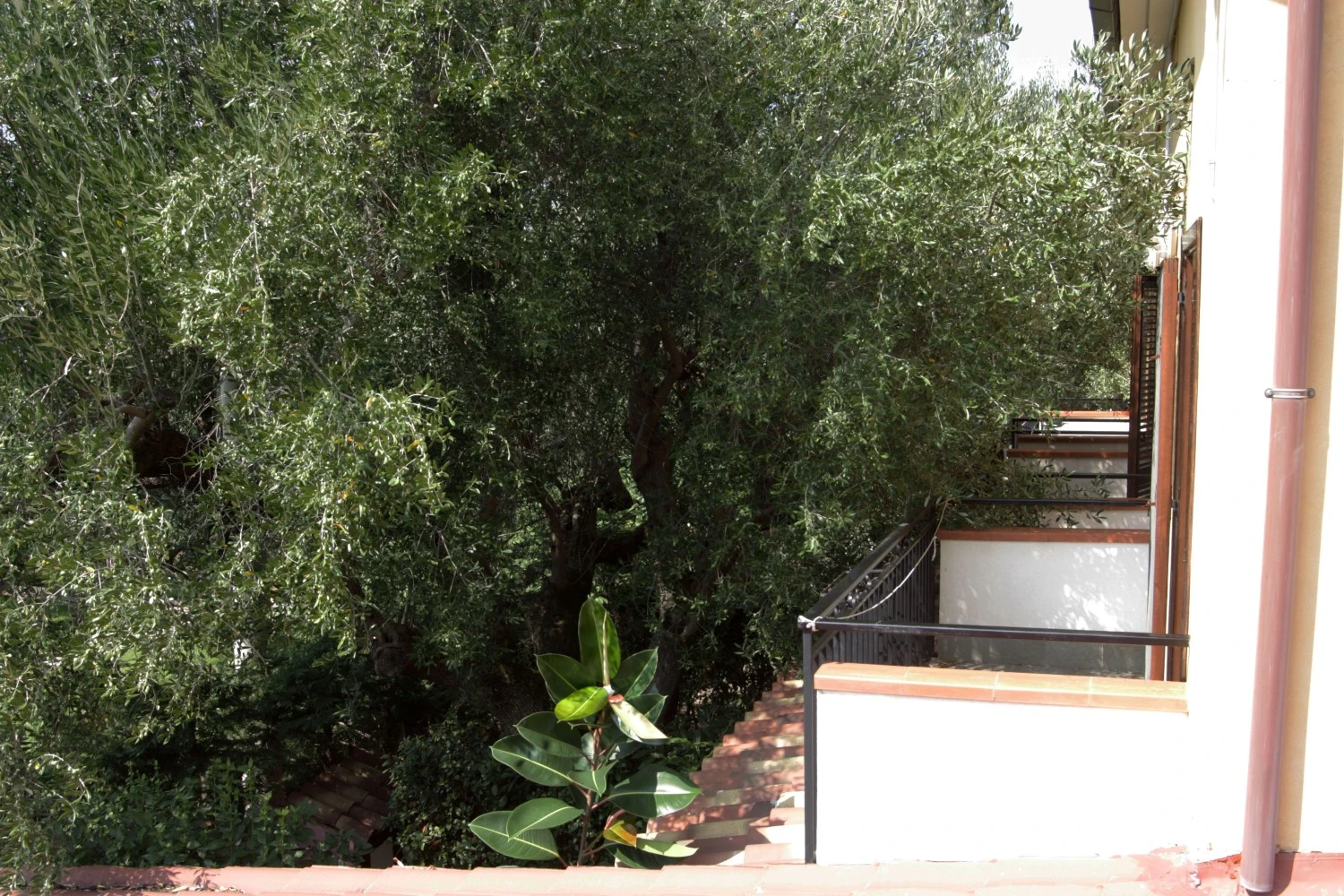 Residence Santa Clara-4