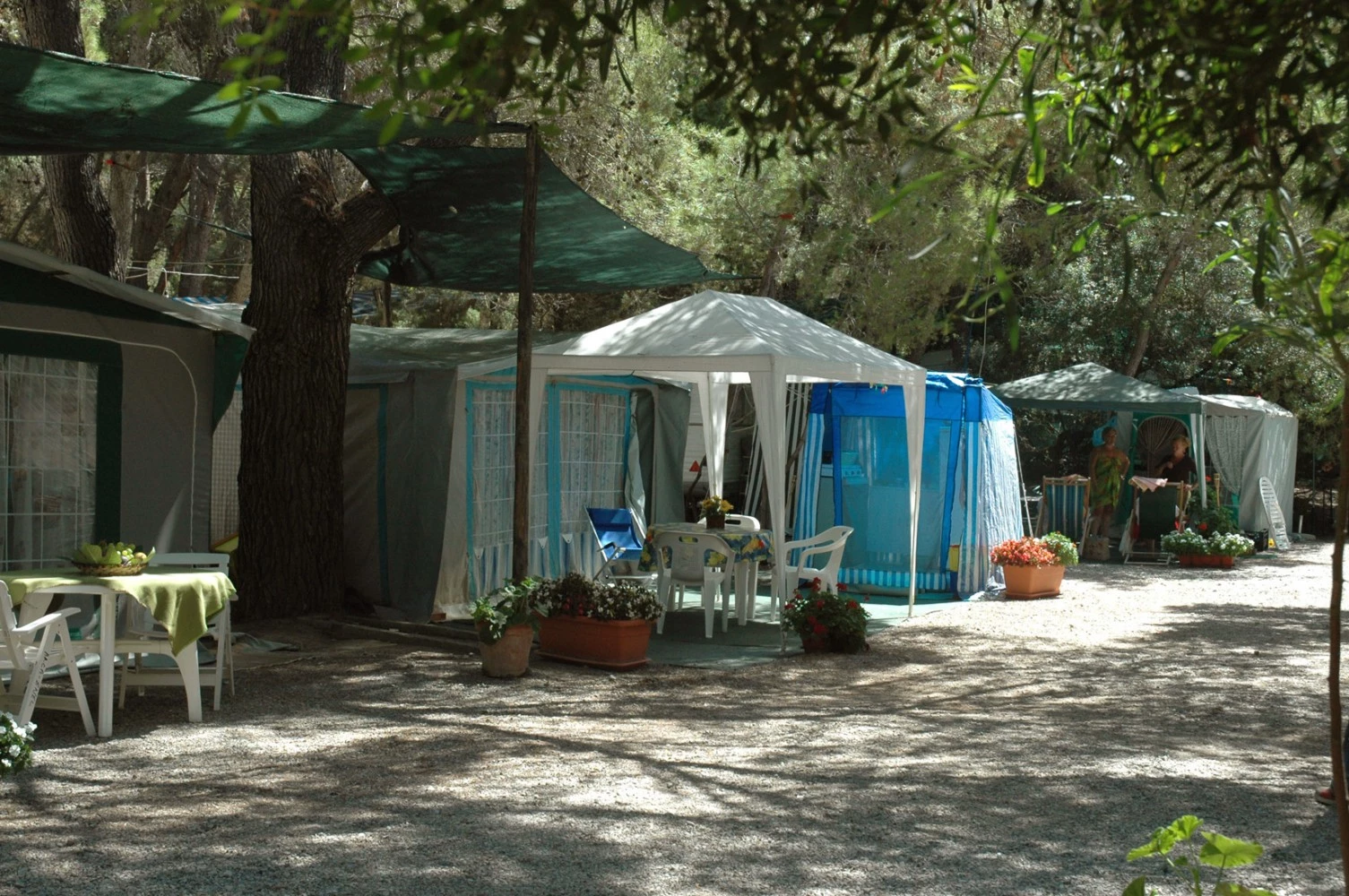 Villaggio Camping Pineta-4
