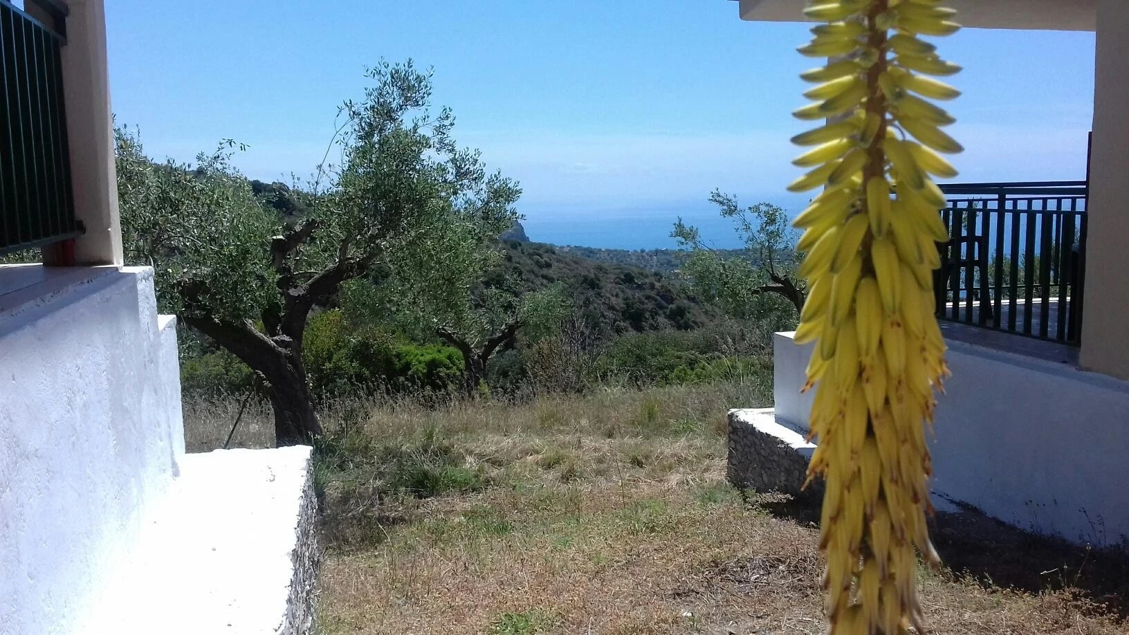 Villini San Antonio-3