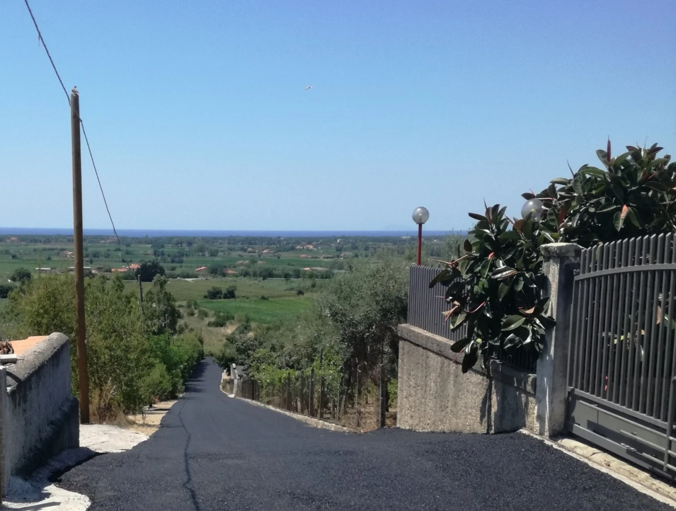 La Paestana-2