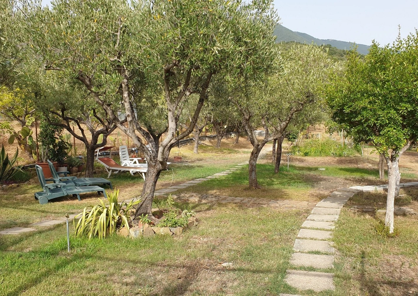 La Paestana-5