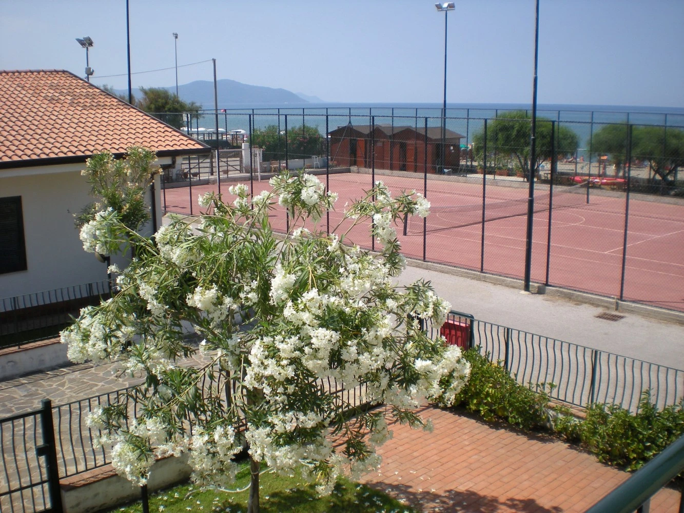 Le Sabbiedoro-4