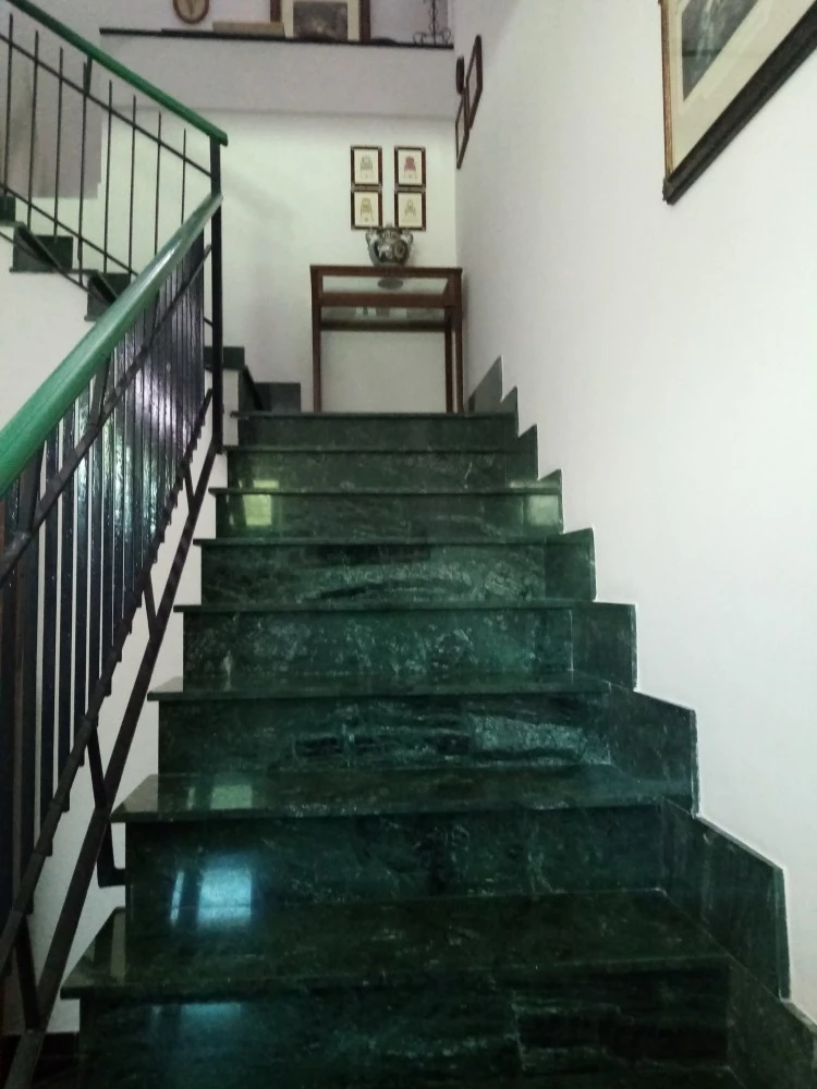 B & B Mamena-1