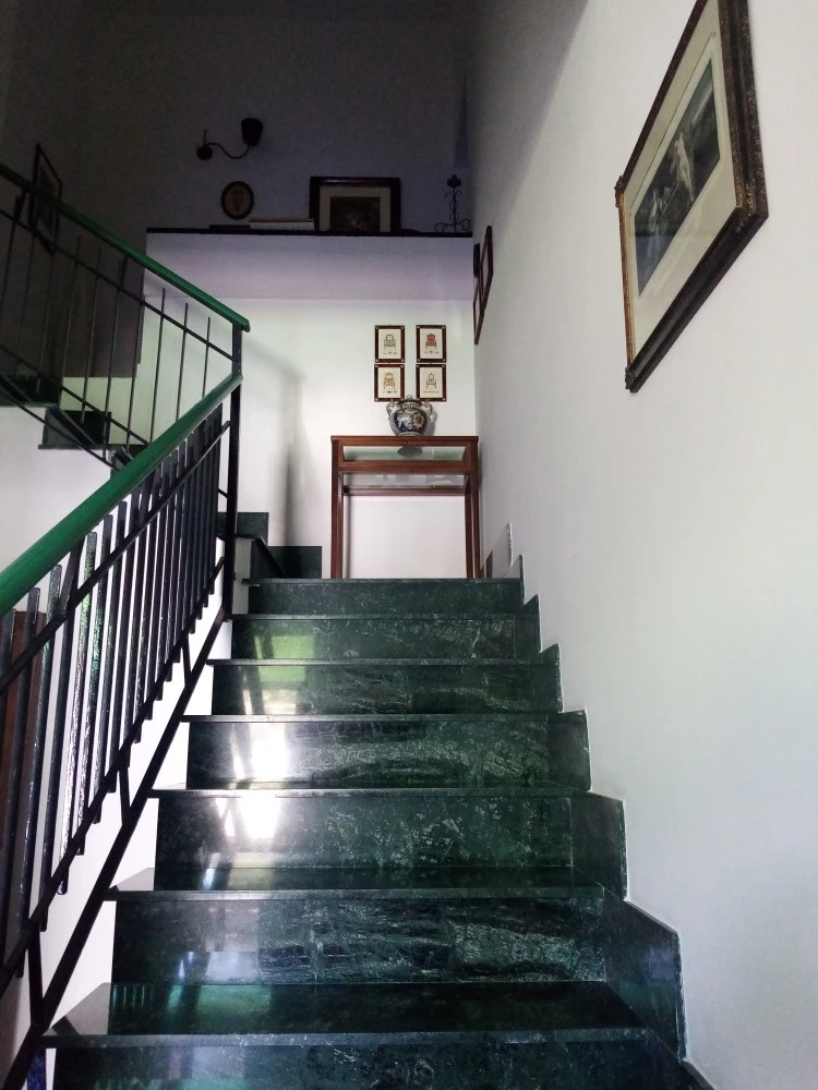B & B Mamena-2