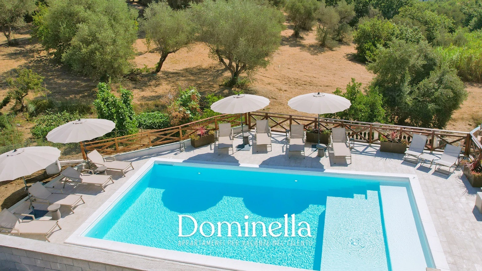 Dominella-2