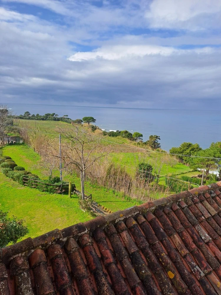 Casa Vacanza Colombaia-3