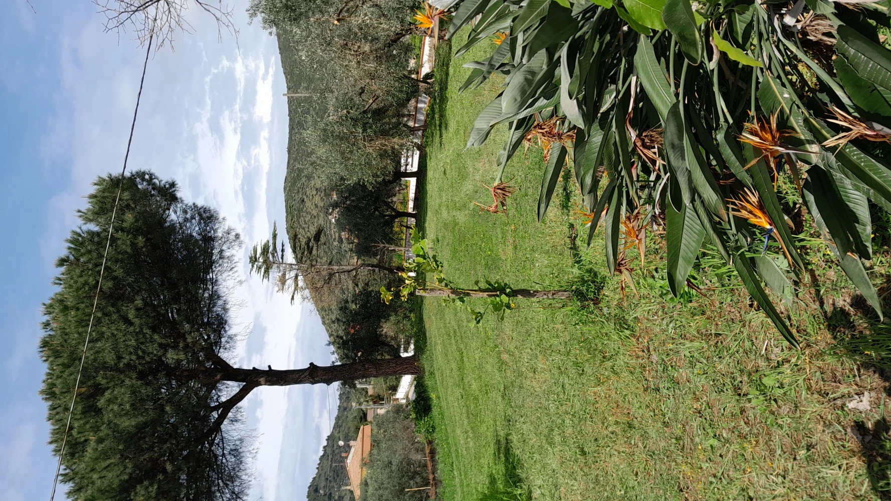Villa Milu'-1
