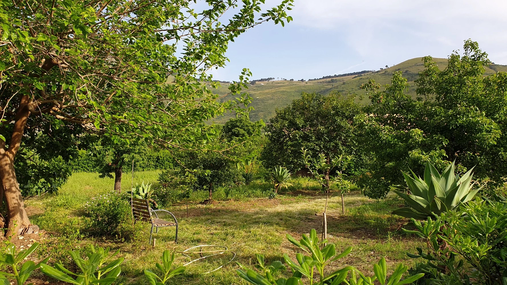 Le Terrazze Su Fraginesi-2