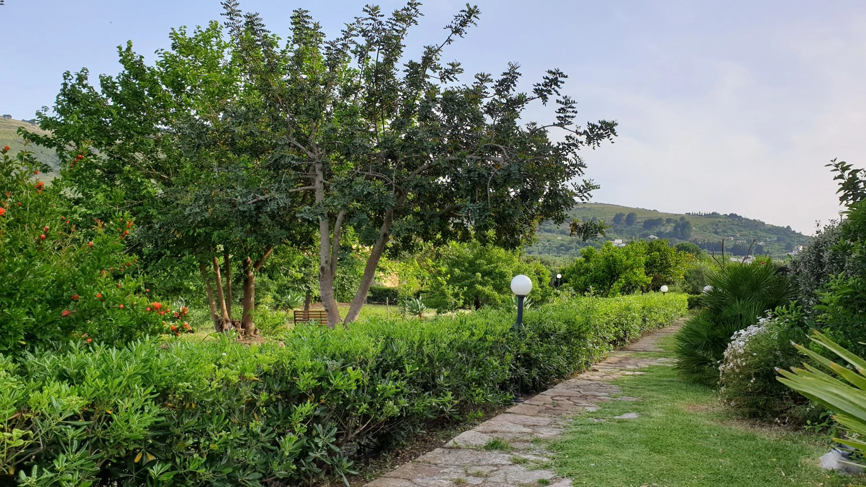 Le Terrazze Su Fraginesi-4