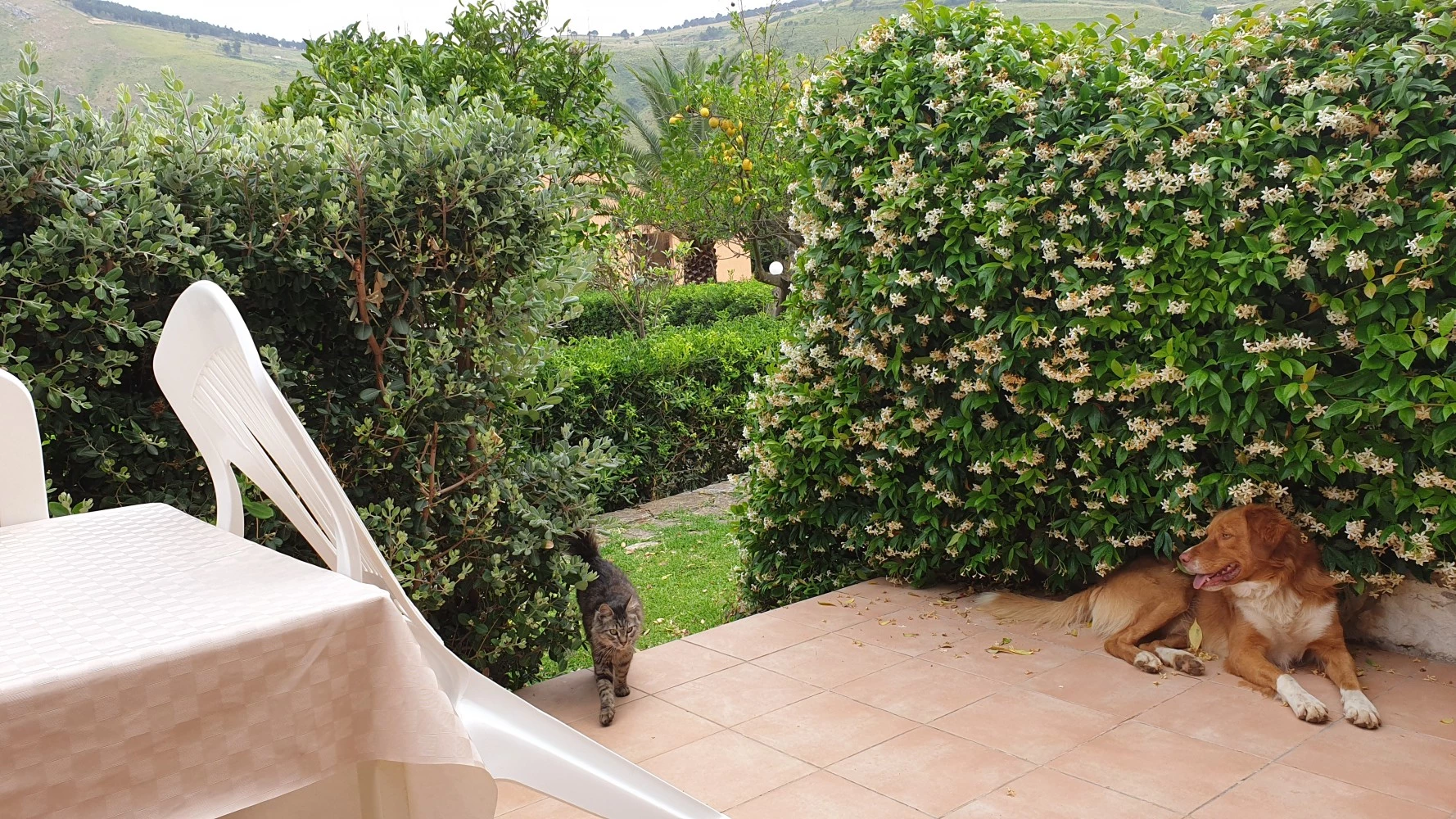 Le Terrazze Su Fraginesi-5