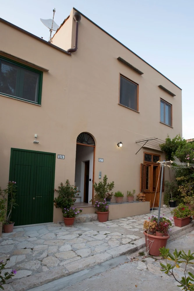 Vito Nel-1