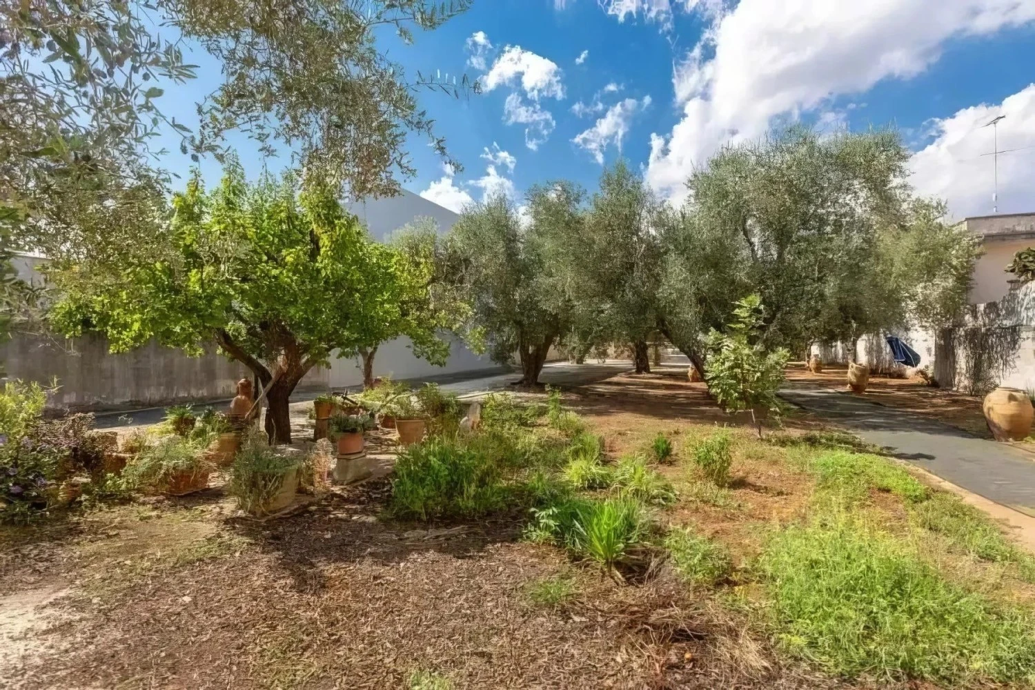 Il Giardino-2