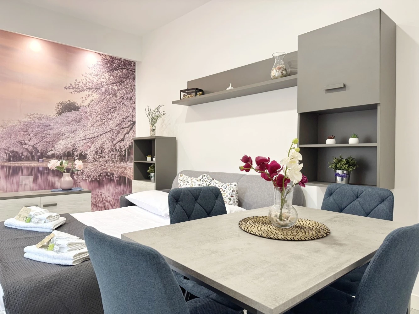 Domus Plebiscito-1
