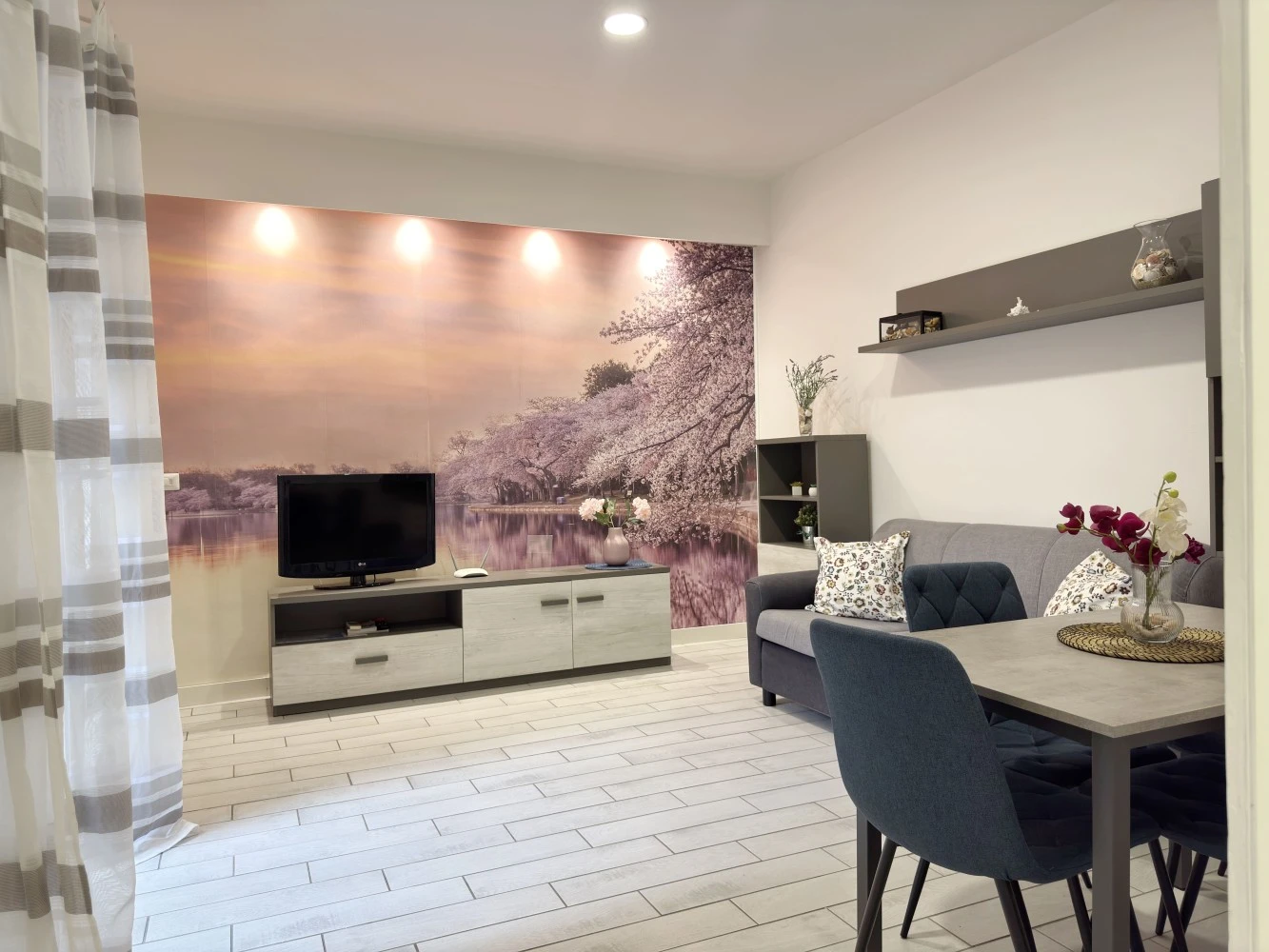 Domus Plebiscito-2