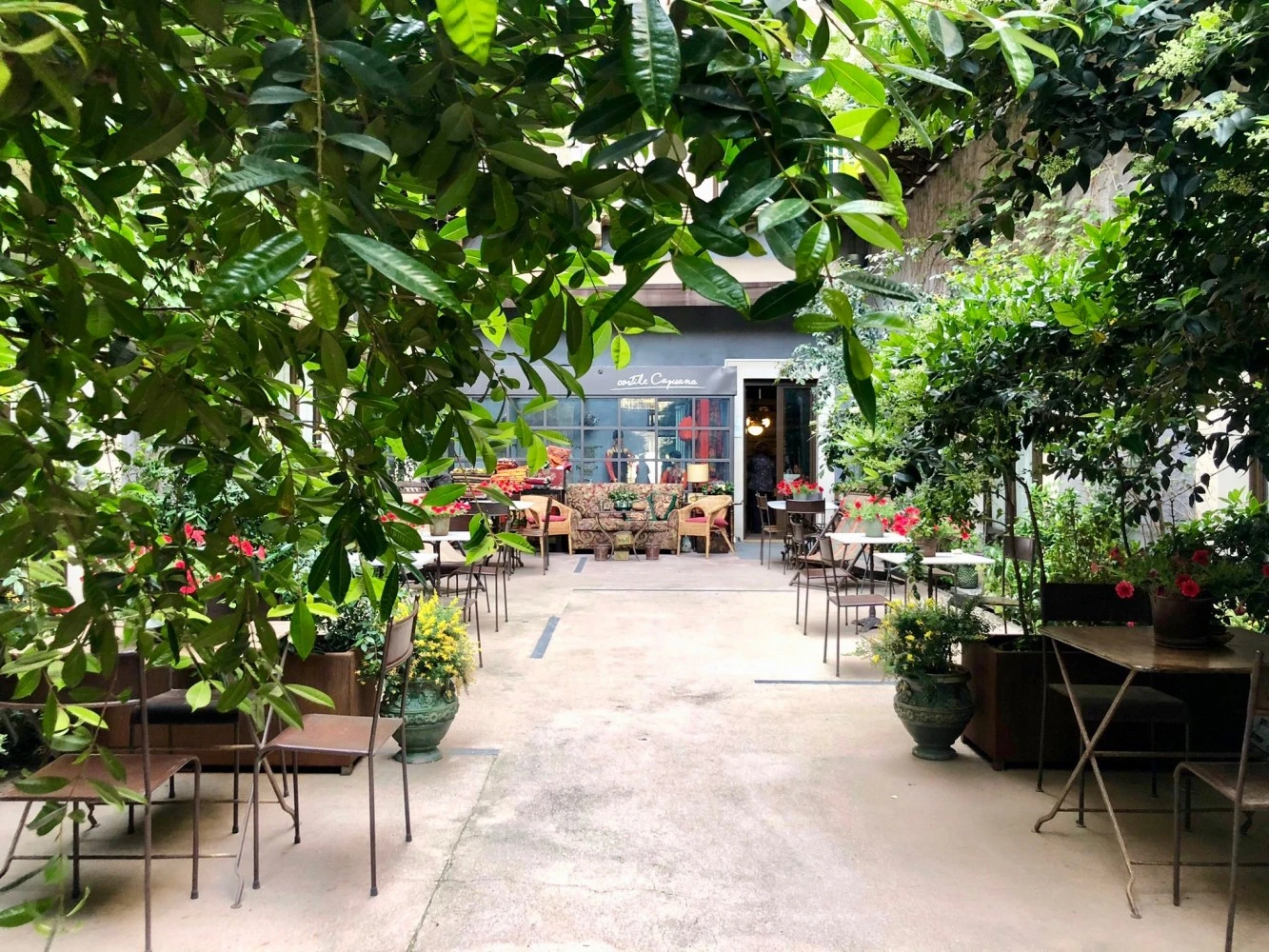 Cortile Capuana - Bed & Shop-1